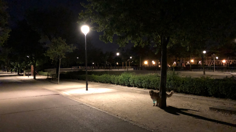 Foto con muy poca luz. No es perfecta, hay algunas zonas quemadas, pero tampoco está tirada de ningún modo especial, simplemente sacar del bolsillo, apuntar y disparar.